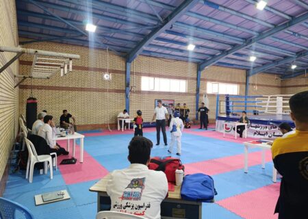 پنجمین روز از دومین فستیوال مسابقات انجمن‌های رزمی استان ایلام با حضور ۲۰۰ ورزشکار