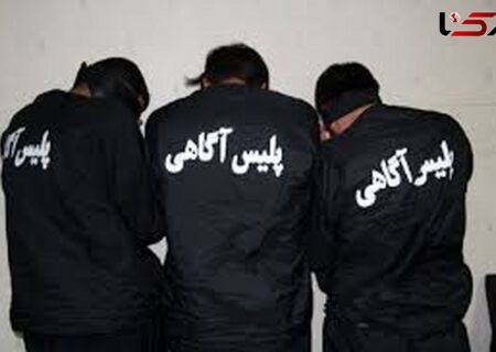 دستگیری ۲۴ نفر در اجرای طرح «آرامش در شهر» در سیروان