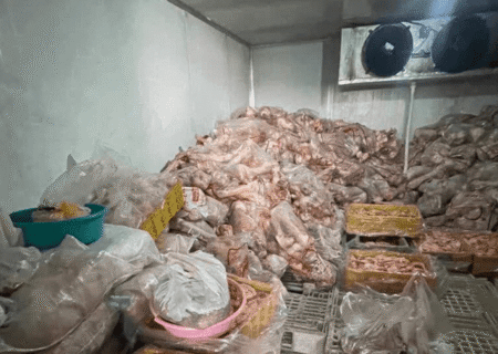 معدوم‌سازی ۶۶۲ کیلوگرم فرآورده خام دامی در ایلام