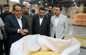 آرامش و امنیت در ایلام برقرار است