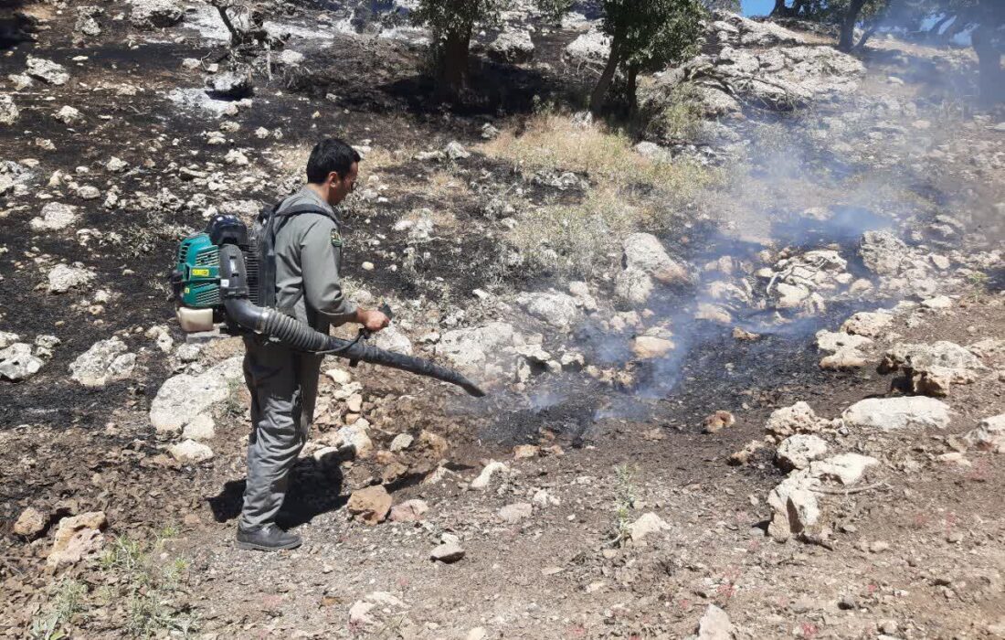 مهار آتش‌سوزی در ارتفاعات «گوزنه» ایوان با تلاش محیط‌بانان و عشایر