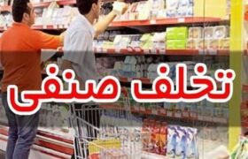 شناسایی و برخورد با ۷ واحد صنفی متخلف در بازار ملکشاهی