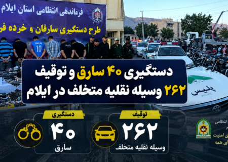 دستگیری ۴۰ سارق و توقیف ۲۶۲ وسیله نقلیه متخلف در ایلام