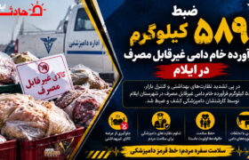 ضبط ۵۸۹ کیلوگرم فرآورده خام دامی غیرقابل مصرف در ایلام