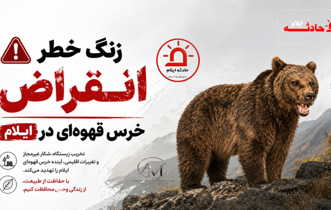 زنگ خطر انقراض خرس‌ قهوه‌ای در ایلام