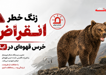 زنگ خطر انقراض خرس‌ قهوه‌ای در ایلام