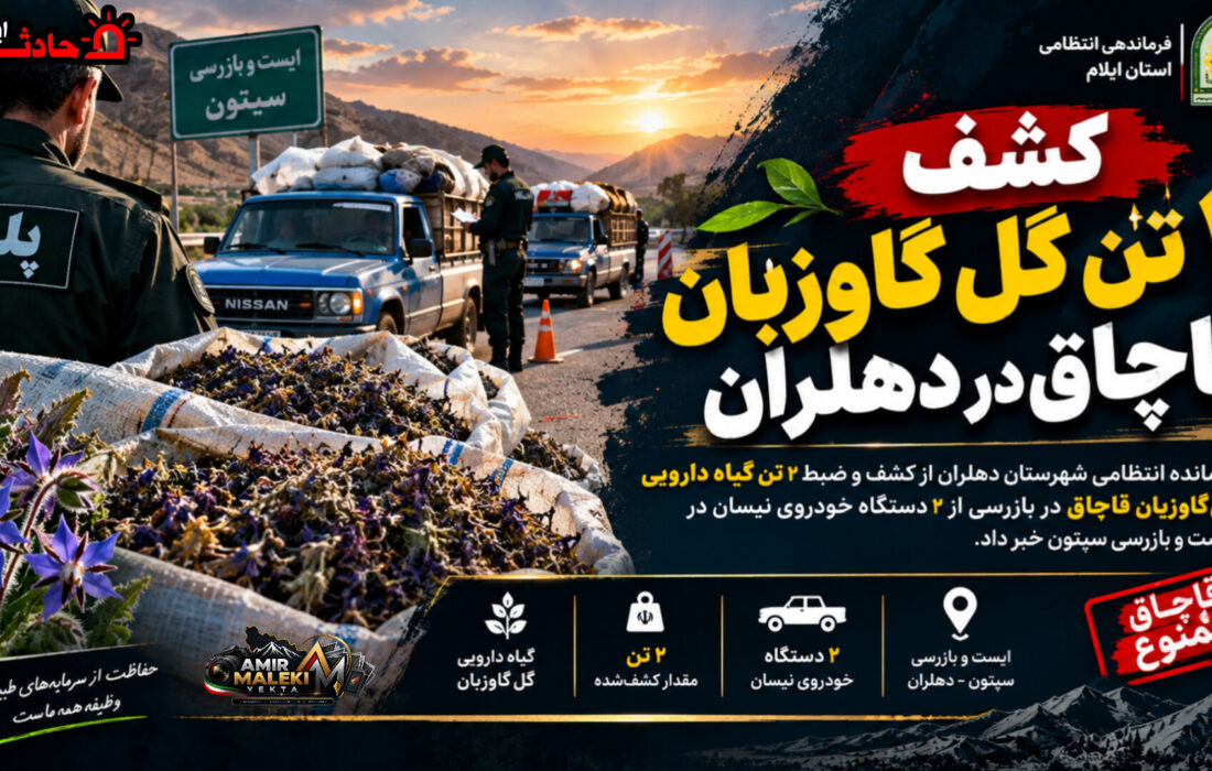 کشف ۲ تن گلگاوزبان قاچاق در دهلران