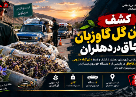 کشف ۲ تن گل‌گاوزبان قاچاق در دهلران