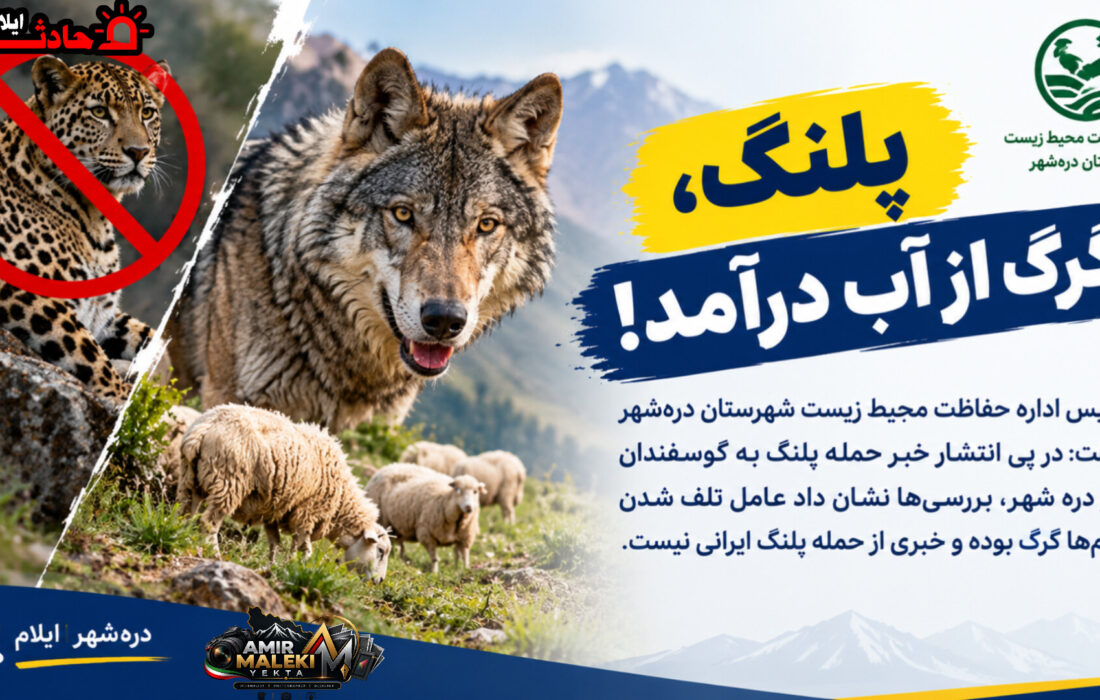 پلنگ، گرگ از آب درآمد!