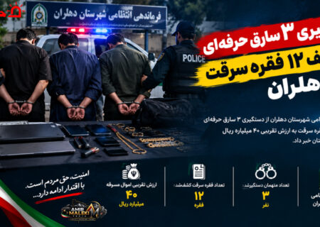 دستگیری ۳ سارق حرفه‌ای و کشف ۱۲ فقره سرقت در دهلران